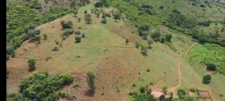 Imagem Fazenda à Venda, 54 Alq GOem Setor Central - Faina Imagem Fazenda à Venda, 54 Alq GOem Setor Central - Faina