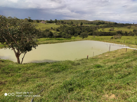 Imagem Fazenda à Venda, 400.000m² em Girassol - Cocalzinho de Goiás Imagem Fazenda à Venda, 400.000m² em Girassol - Cocalzinho de Goiás