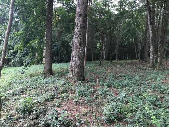 Imagem Terreno em Condomínio à Venda, 1.212 m² em Caxambu - Jundiaí Imagem Terreno em Condomínio à Venda, 1.212 m² em Caxambu - Jundiaí