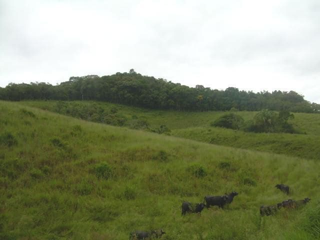 Imagem Terreno à Venda, 194 m²em Parque Santa Rosa - Suzano Imagem Terreno à Venda, 194 m²em Parque Santa Rosa - Suzano