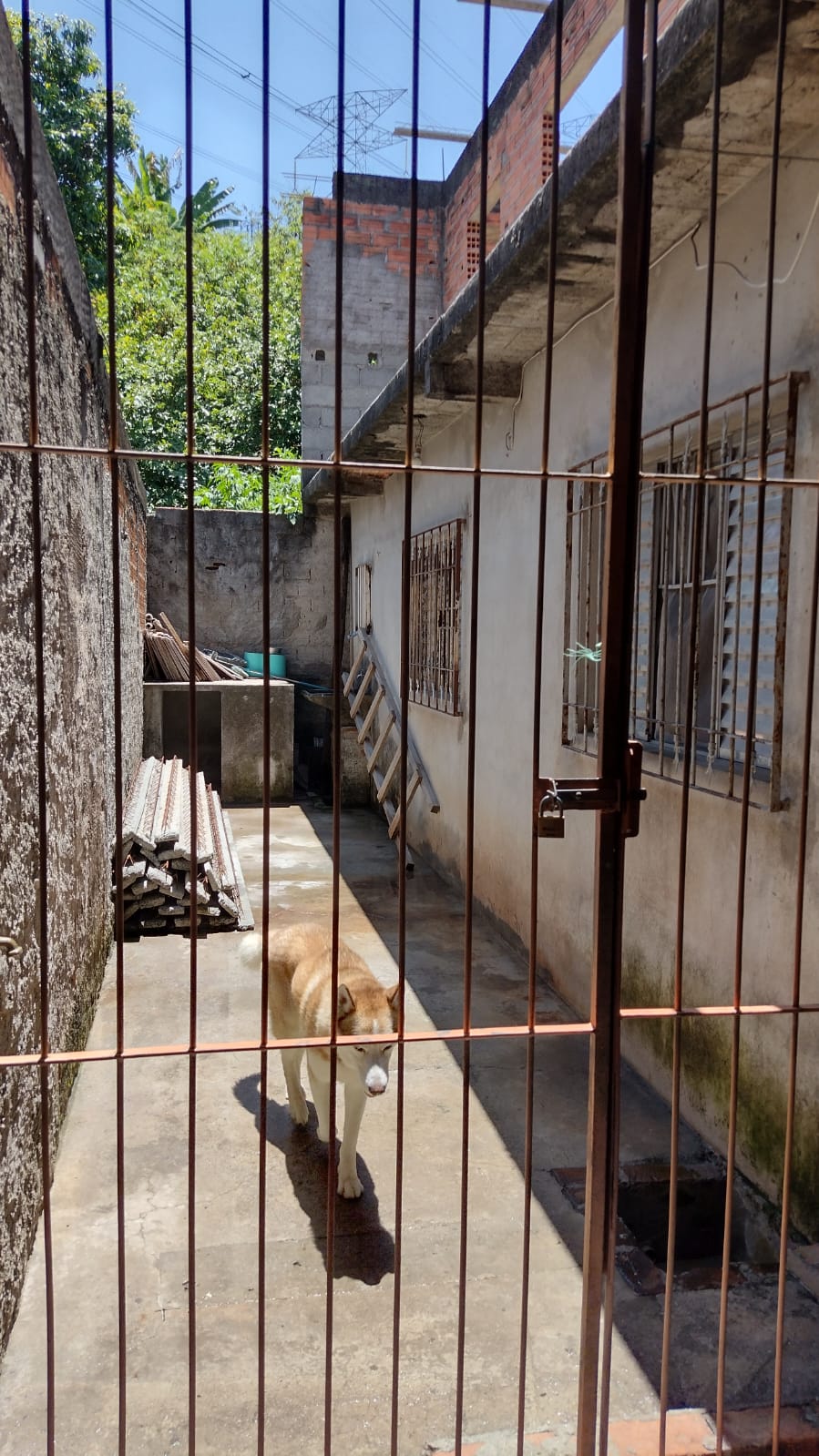 Imagem Casa com 3 Quartos à Venda, 281 m²em Parque Imperial - Barueri