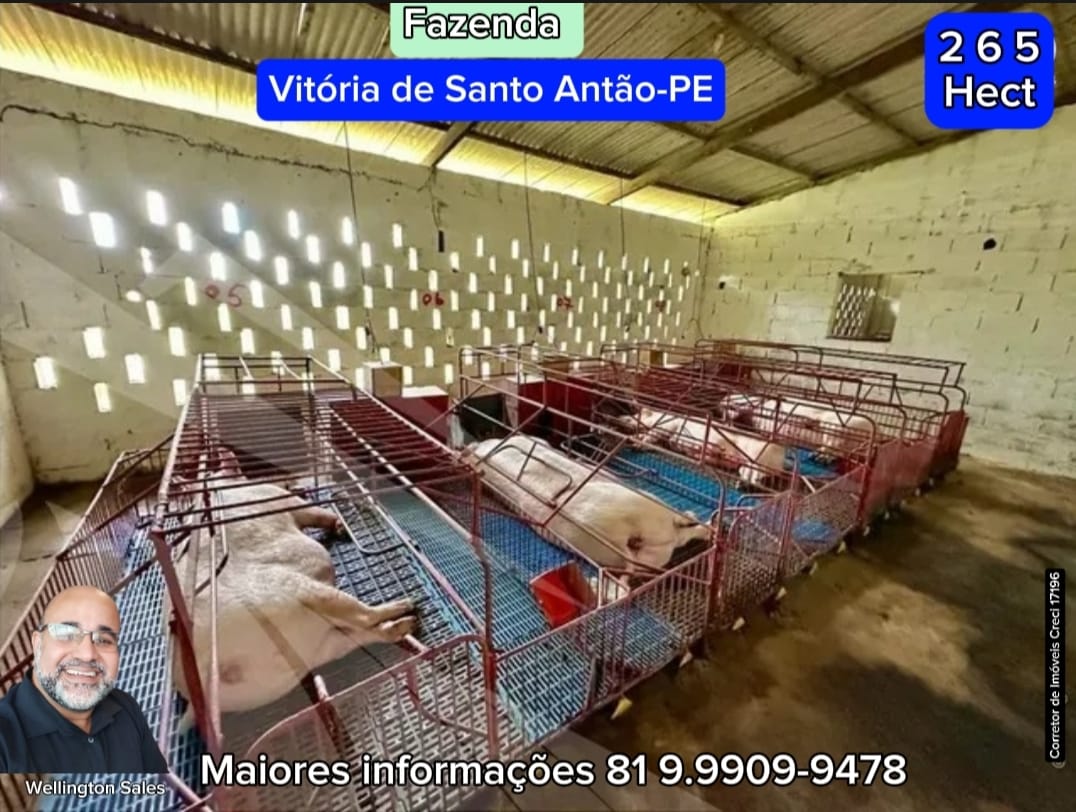 Imagem Imóvel com 4 Quartos à Venda, 265 m²em Área Rural de Vitória do Santo Antão - Vitória de Santo Antão Imagem Imóvel com 4 Quartos à Venda, 265 m²em Área Rural de Vitória do Santo Antão - Vitória de Santo Antão