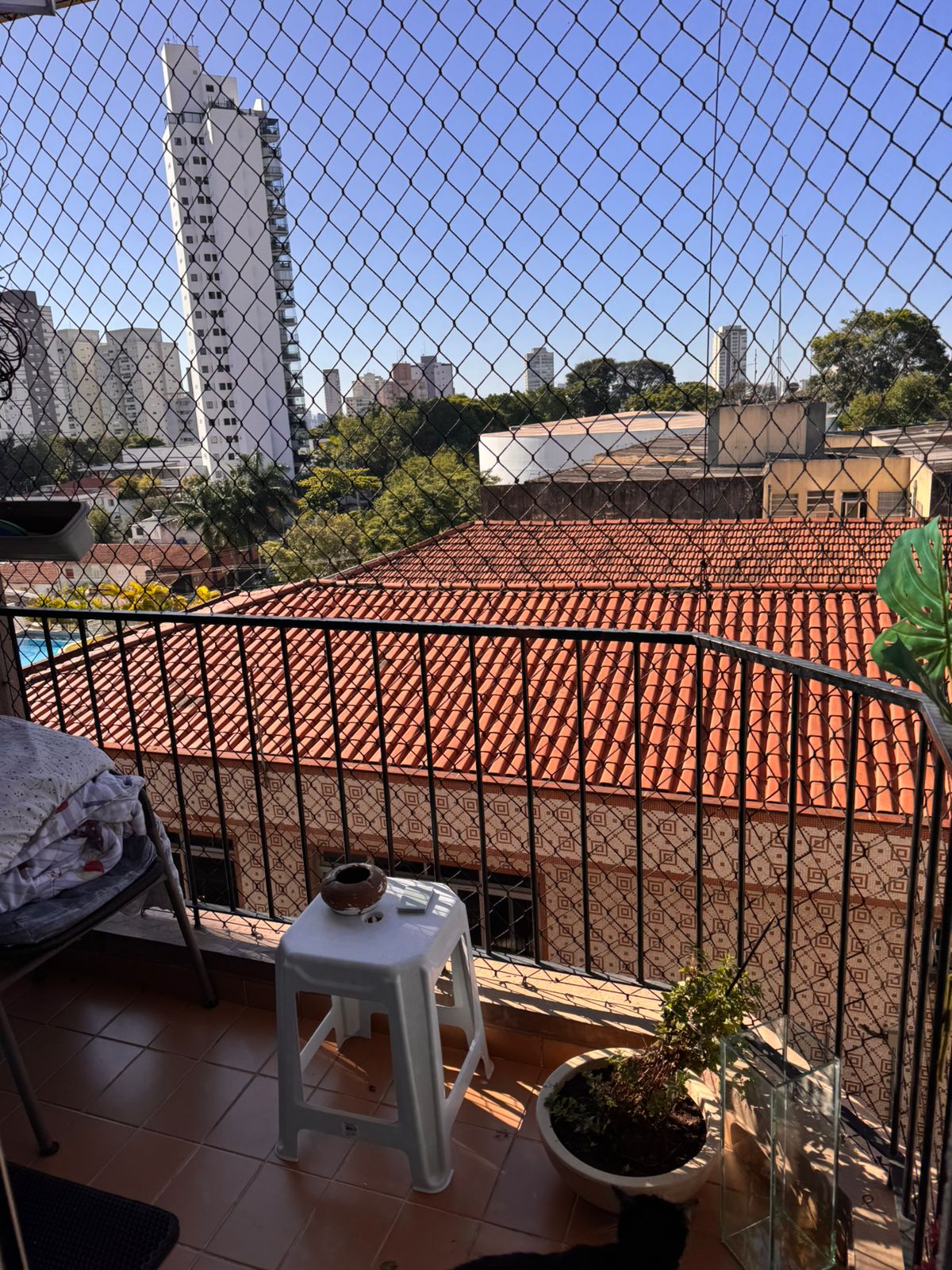 Imagem Apartamento com 2 Quartos à Venda ou Locação, 62 m² em Vila Mascote - São Paulo Imagem Apartamento com 2 Quartos à Venda ou Locação, 62 m² em Vila Mascote - São Paulo