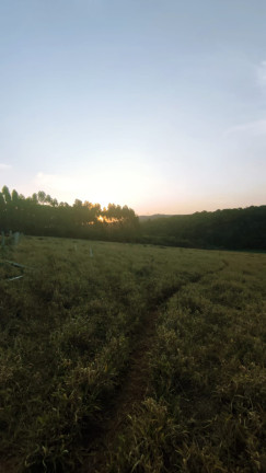 Imagem Terreno em Condomínio à Venda, 1.000 m² em Sebandilha - Mairinque Imagem Terreno em Condomínio à Venda, 1.000 m² em Sebandilha - Mairinque