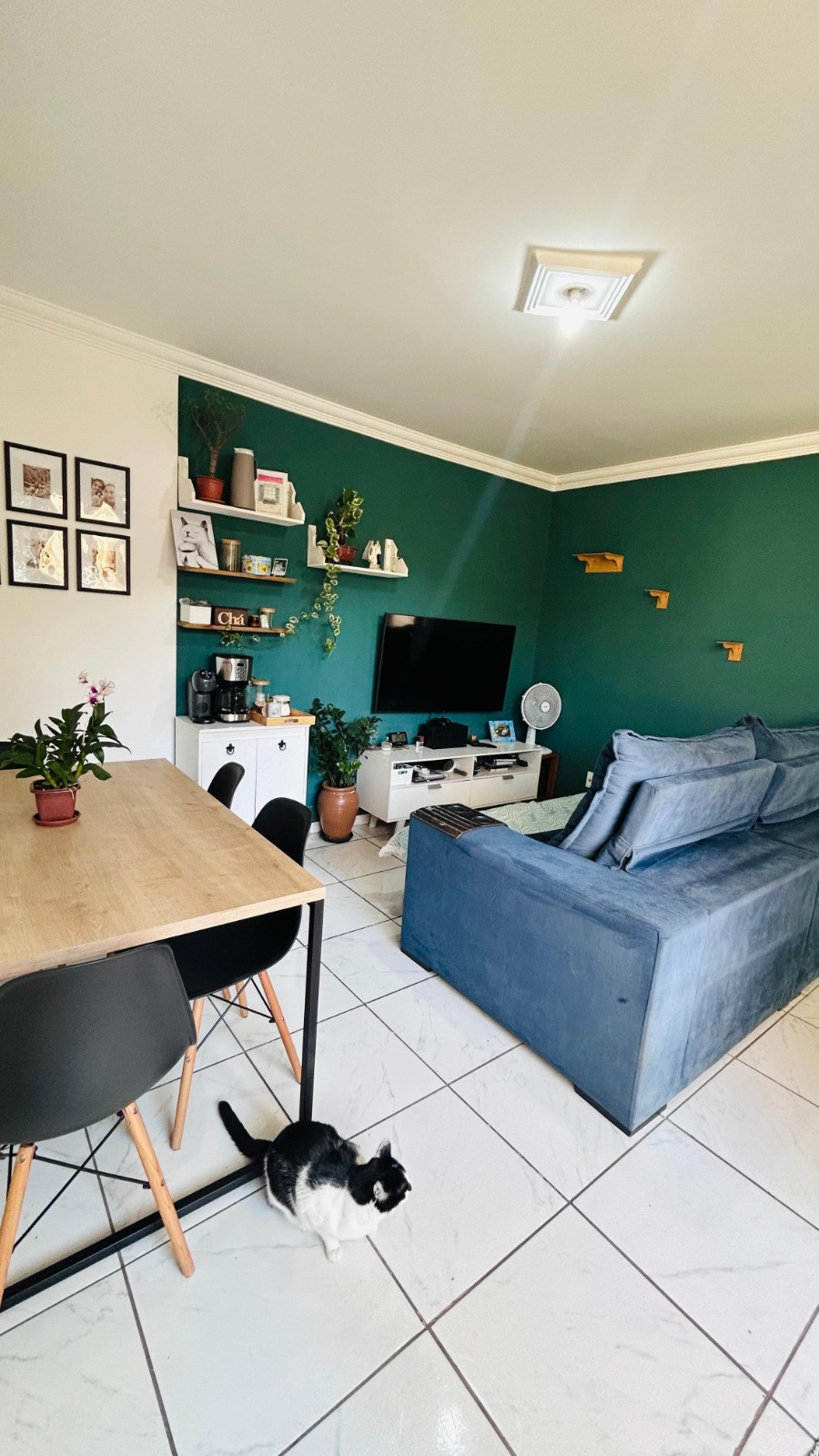 Apartamento com 2 Quartos à Venda, 44 m² em Paulo Camilo - Betim