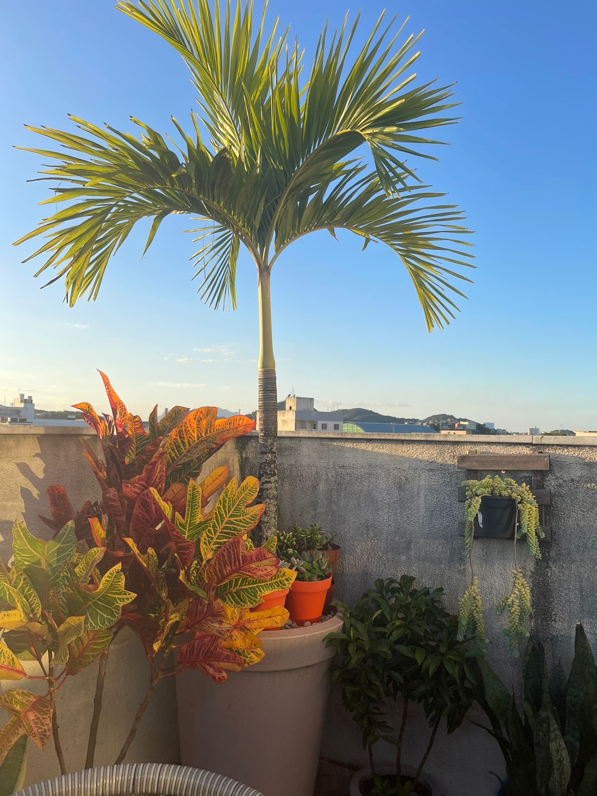 Imagem Cobertura com 2 Quartos à Venda, 110 m²em Soteco - Vila Velha