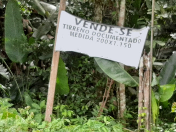 Imagem Terreno à Venda, 230.000 m² em Zona Rural - Santa Bárbara do Pará