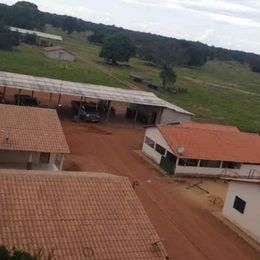 Imagem Fazenda à Venda, 8 HAem ZONA RURAL - Cocalinho Imagem Fazenda à Venda, 8 HAem ZONA RURAL - Cocalinho