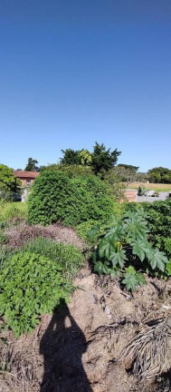 Imagem Terreno à Venda, 365 m² em Milanese - Criciúma Imagem Terreno à Venda, 365 m² em Milanese - Criciúma
