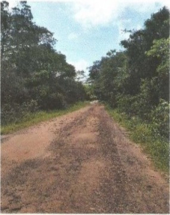 Imagem Fazenda à Venda, 66.246 m² em Zona Rural - Vigia Imagem Fazenda à Venda, 66.246 m² em Zona Rural - Vigia