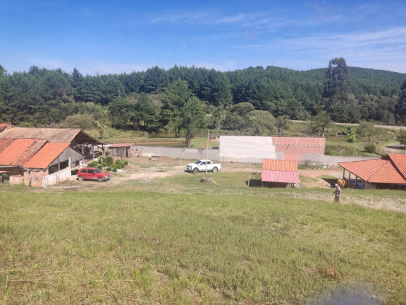 Imagem Chácara com 3 Quartos à Venda, 3.196 m² em Lagoa dos Souza - Agudos do Sul