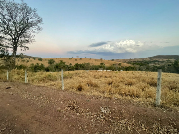 Imagem Chácara com 5 Quartos à Venda, 57.475 m² em Zona rural - Bela Vista de Goiás Imagem Chácara com 5 Quartos à Venda, 57.475 m² em Zona rural - Bela Vista de Goiás