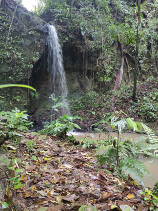 Imagem Terreno à Venda, em Santaninha - Pedras Grandes Imagem Terreno à Venda, em Santaninha - Pedras Grandes