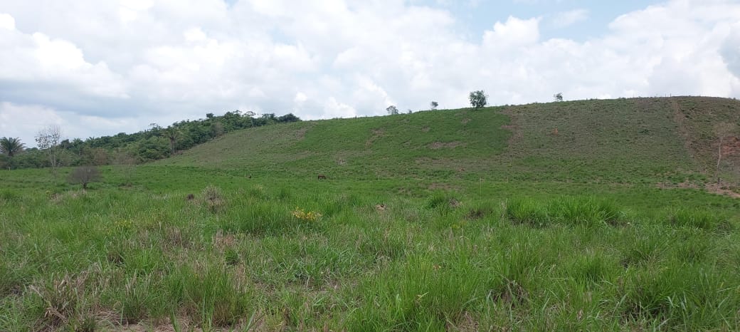 Imagem Fazenda à Venda, 9 Alq MGem Nova Marabá - Marabá Imagem Fazenda à Venda, 9 Alq MGem Nova Marabá - Marabá
