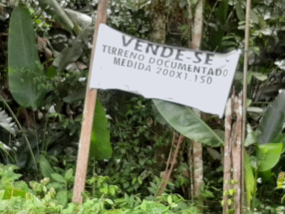 Imagem Terreno à Venda, 230.000 m² em Zona Rural - Santa Bárbara do Pará