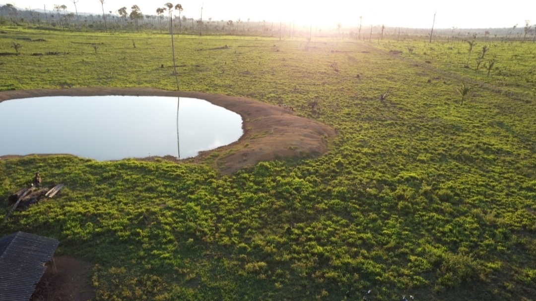 Imagem Fazenda à Venda, 430 m² em Centro - São Félix do Xingu Imagem Fazenda à Venda, 430 m² em Centro - São Félix do Xingu