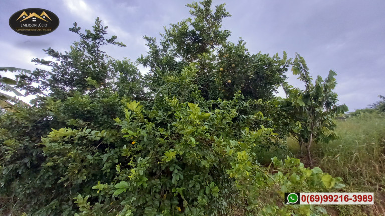 Imagem Chácara à Venda, 200 m² em Areia Branca - Porto Velho Imagem Chácara à Venda, 200 m² em Areia Branca - Porto Velho