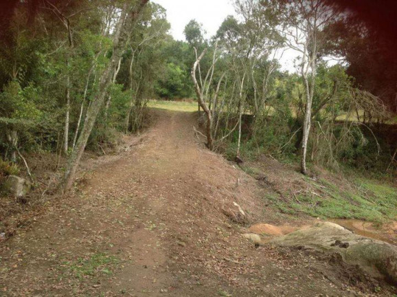 Imagem Chácara com 3 Quartos à Venda, 96.800 m² em Jardim Santa Esmeralda - Sorocaba Imagem Chácara com 3 Quartos à Venda, 96.800 m² em Jardim Santa Esmeralda - Sorocaba