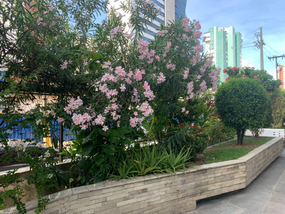 Imagem Apartamento com 3 Quartos à Venda, 120 m² em Boa Viagem - Recife