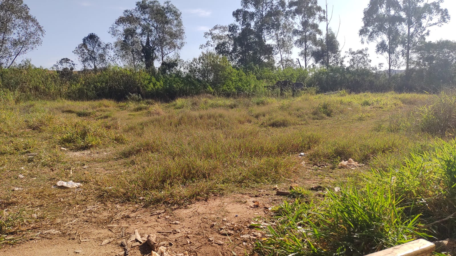 Imagem Galpão à Venda, 800 m²em Chácara Ondas Verdes - Cotia Imagem Galpão à Venda, 800 m²em Chácara Ondas Verdes - Cotia