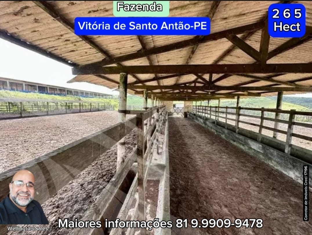 Imagem Imóvel com 4 Quartos à Venda, 265 m²em Área Rural de Vitória do Santo Antão - Vitória de Santo Antão Imagem Imóvel com 4 Quartos à Venda, 265 m²em Área Rural de Vitória do Santo Antão - Vitória de Santo Antão