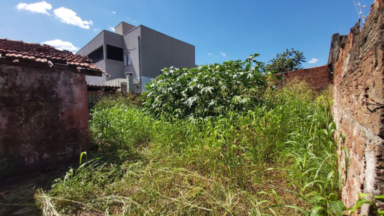 Imagem Terreno à Venda, em Vila Carvalho - Campo Grande Imagem Terreno à Venda, em Vila Carvalho - Campo Grande