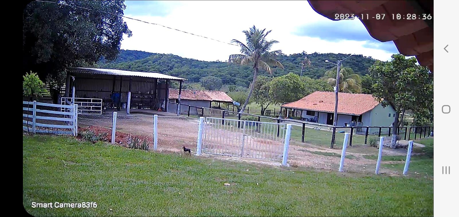 Imagem Fazenda à Venda, 136 Alq GOem ZONA RURAL - Crixás Imagem Fazenda à Venda, 136 Alq GOem ZONA RURAL - Crixás