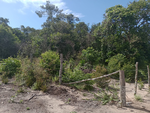 Imagem Terreno à Venda, 44.200 m² em Centro - Santarém Imagem Terreno à Venda, 44.200 m² em Centro - Santarém