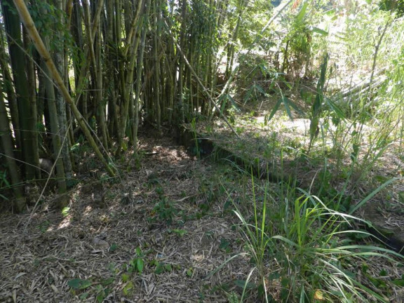 Imagem Terreno à Venda, 58.000 m² em Centro Histórico (Paraty) - Paraty