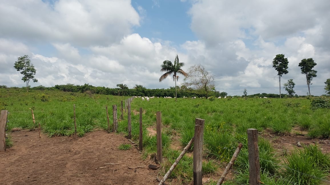 Imagem Fazenda à Venda, 9 Alq MGem Nova Marabá - Marabá Imagem Fazenda à Venda, 9 Alq MGem Nova Marabá - Marabá