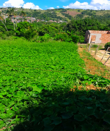 Imagem Terreno à Venda, 690 m² em Matriz - Vitória de Santo Antão Imagem Terreno à Venda, 690 m² em Matriz - Vitória de Santo Antão