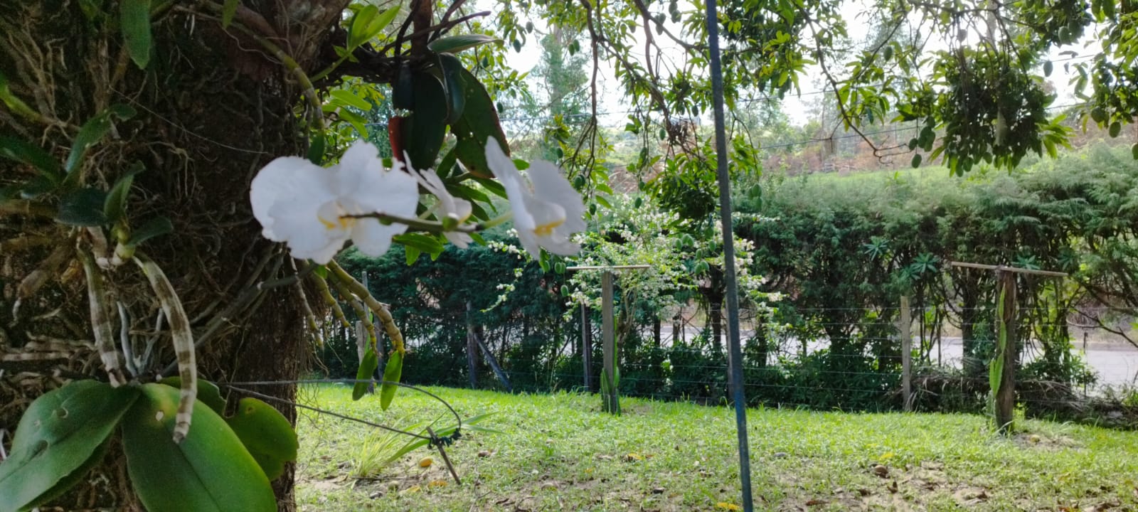 Imagem Chácara com 4 Quartos à Venda, 440 m² em - Sarapuí Imagem Chácara com 4 Quartos à Venda, 440 m² em - Sarapuí