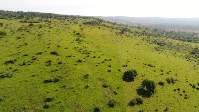Imagem Terreno à Venda, 11.500 m² em zona rural - Bocaiúva