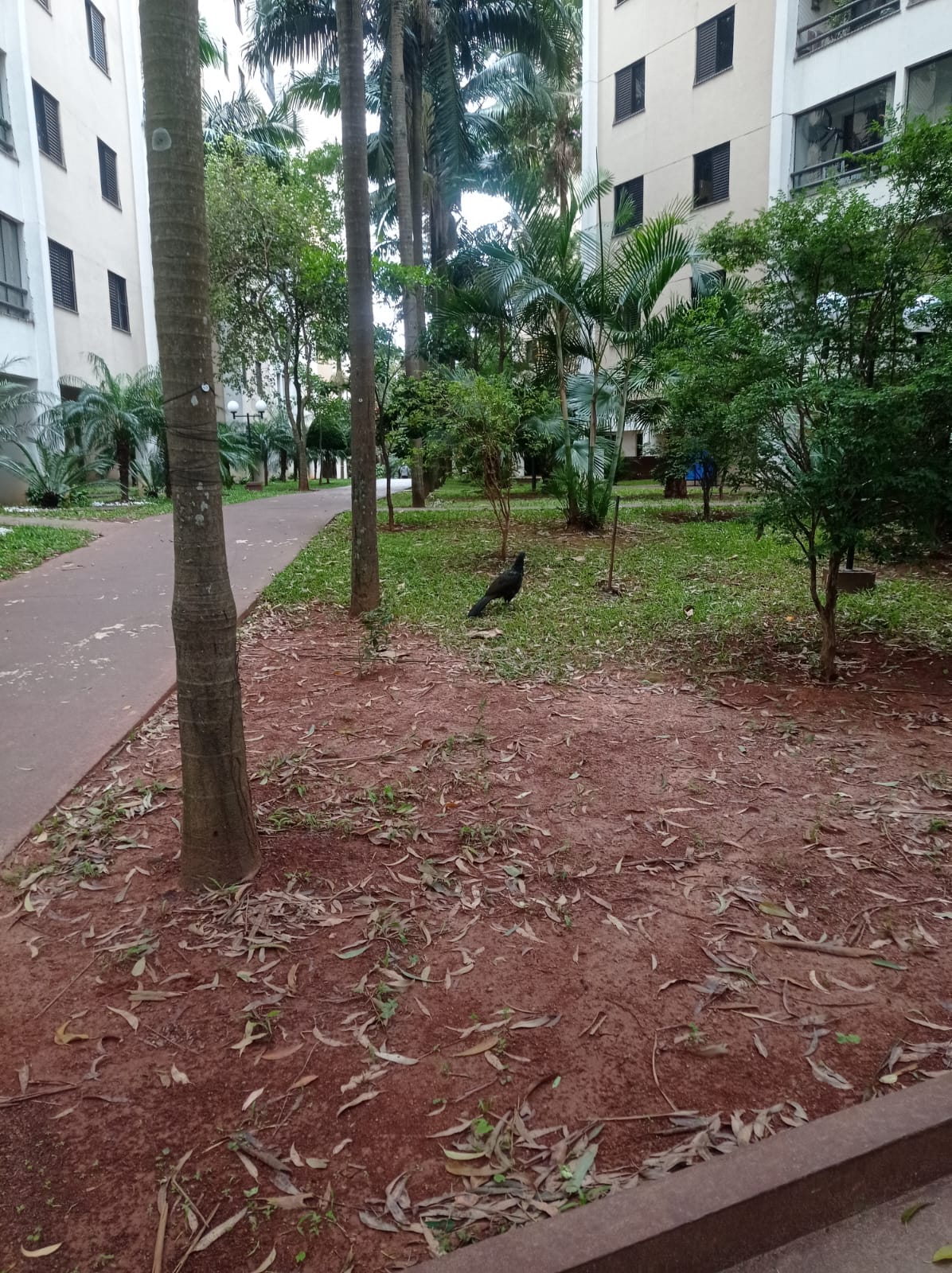 Imagem Apartamento com 3 Quartos à Venda, 76 m²em Jardim Bontempo - Taboão da Serra Imagem Apartamento com 3 Quartos à Venda, 76 m²em Jardim Bontempo - Taboão da Serra