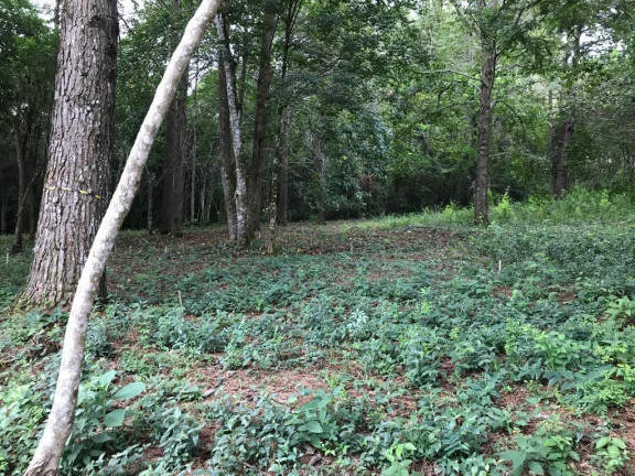 Imagem Terreno em Condomínio à Venda, 1.212 m² em Caxambu - Jundiaí Imagem Terreno em Condomínio à Venda, 1.212 m² em Caxambu - Jundiaí
