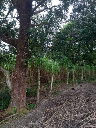 Imagem Fazenda à Venda,  em zona rural - Salvaterra