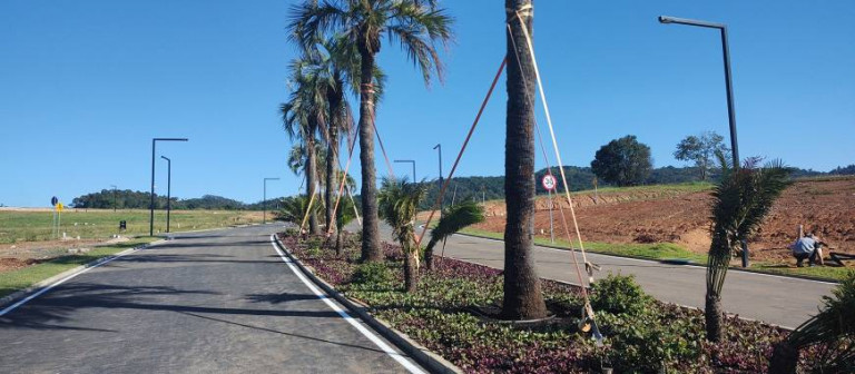 Imagem Terreno à Venda, 800 m² em São Simão - Criciúma Imagem Terreno à Venda, 800 m² em São Simão - Criciúma