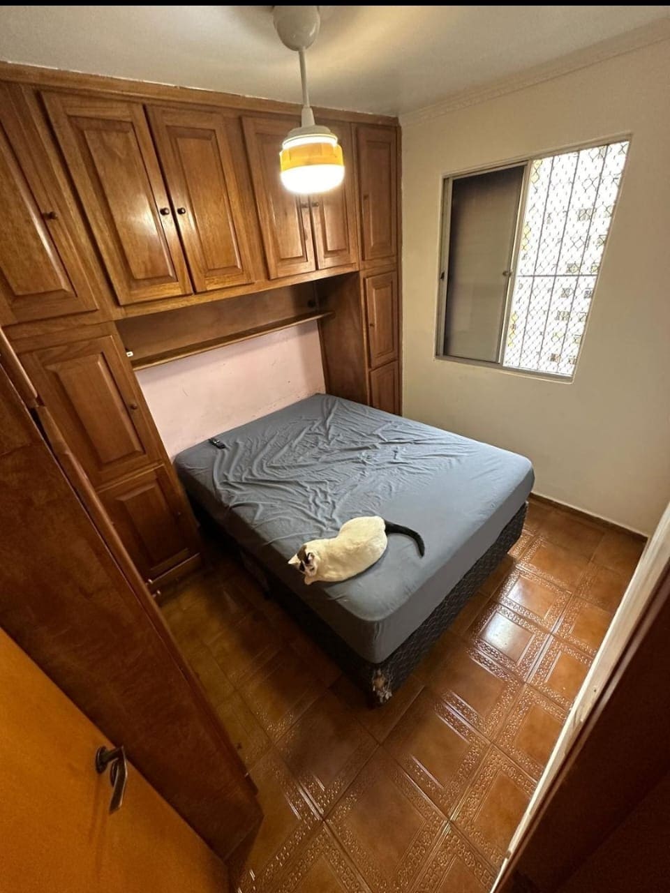 Imagem Apartamento com 2 Quartos à Venda, 52 m² em Jardim Celeste - São Paulo Imagem Apartamento com 2 Quartos à Venda, 52 m² em Jardim Celeste - São Paulo