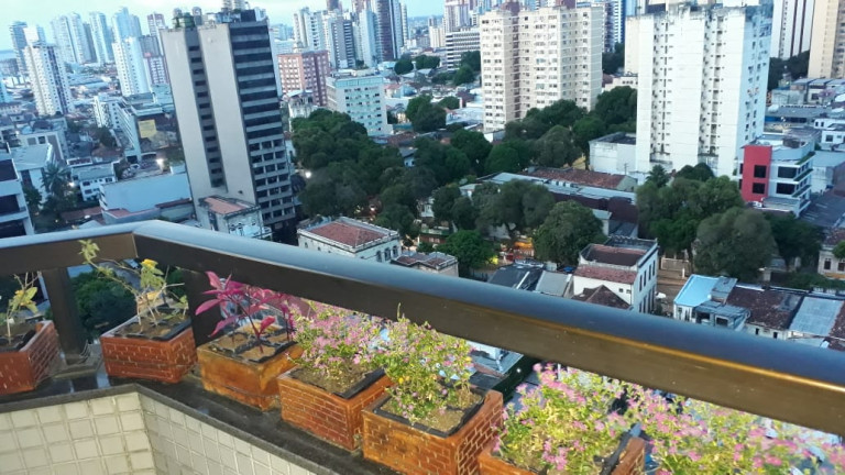 Imagem Apartamento com 3 Quartos à Venda, 250 m² em Batista Campos - Belém