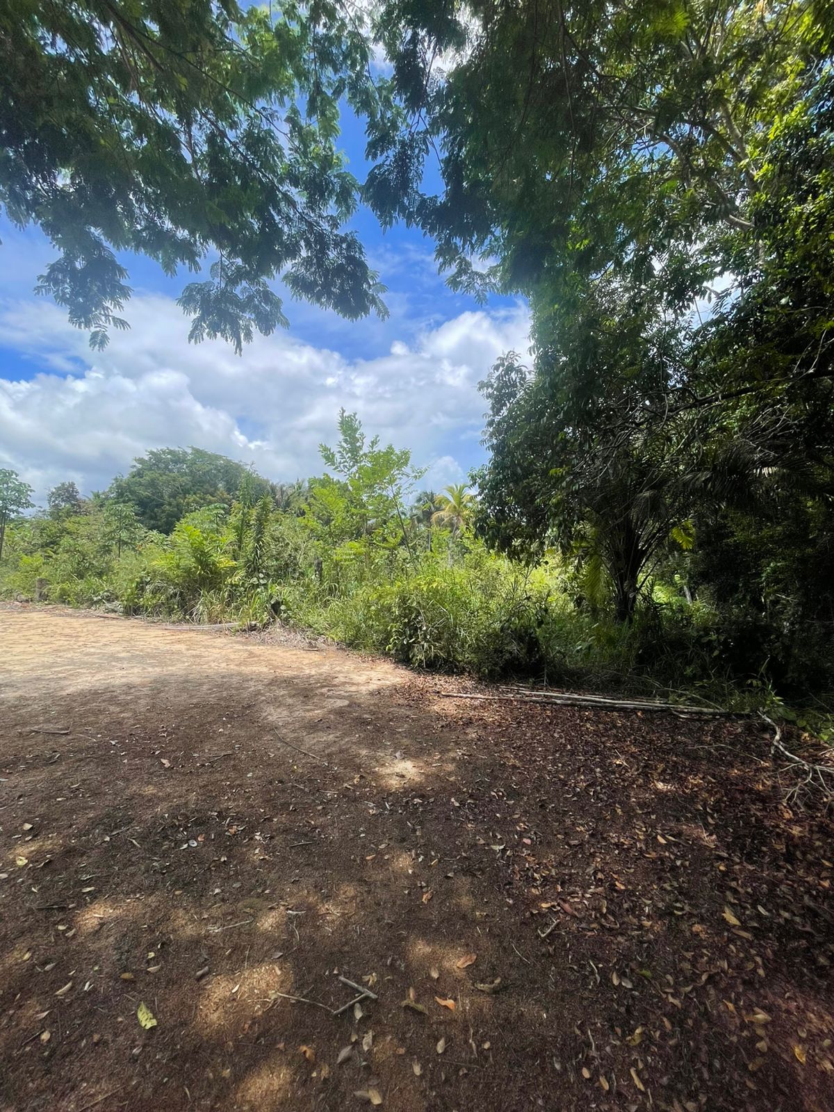 Imagem Terreno à Venda, 300 m² em centro - Una Imagem Terreno à Venda, 300 m² em centro - Una