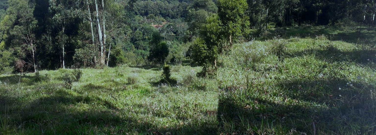 Imagem Chácara à Venda, 20.000 m² em Colinas - Poços de Caldas Imagem Chácara à Venda, 20.000 m² em Colinas - Poços de Caldas