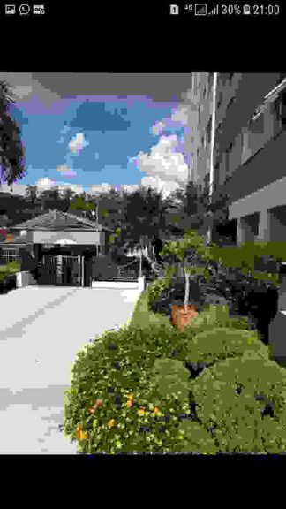 Imagem Apartamento com 2 Quartos à Venda, 49 m² em Parque Itália - Campinas Imagem Apartamento com 2 Quartos à Venda, 49 m² em Parque Itália - Campinas
