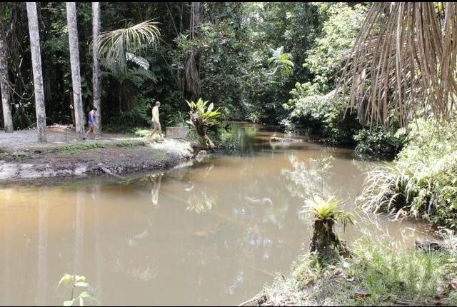 Imagem Chácara com 6 Quartos à Venda, 1 m² em área Rural - Manaus