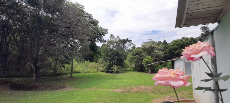 Imagem Chácara com 3 Quartos à Venda, 83 m²em Ponte Alta - Prudentópolis