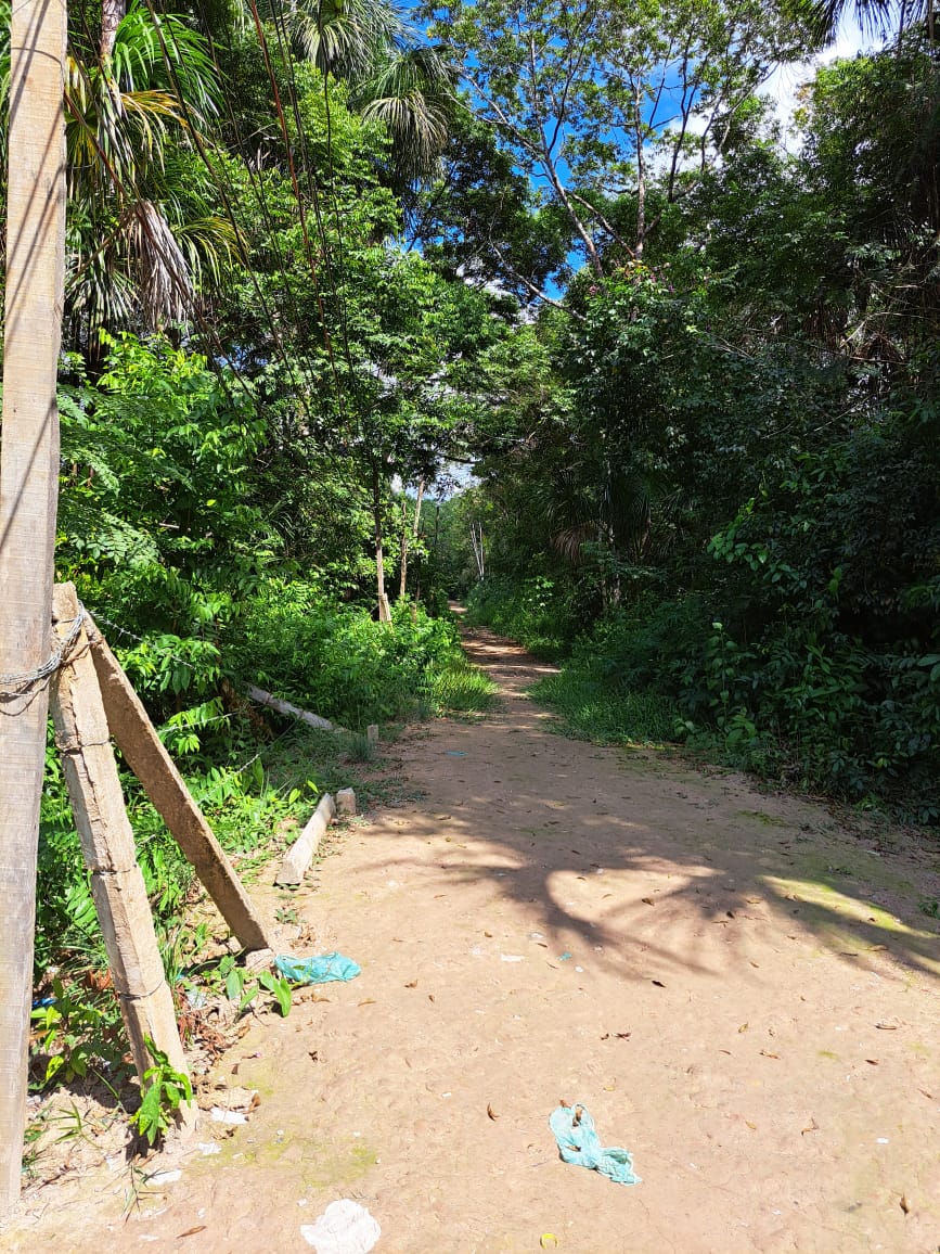 Imagem Chácara com 3 Quartos à Venda ou Temporada, 7 m²em Matinha - Santarém