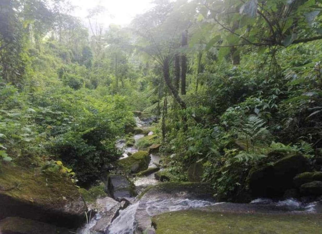 Imagem Terreno à Venda, 52 m²em Mirim doce - Mirim Doce