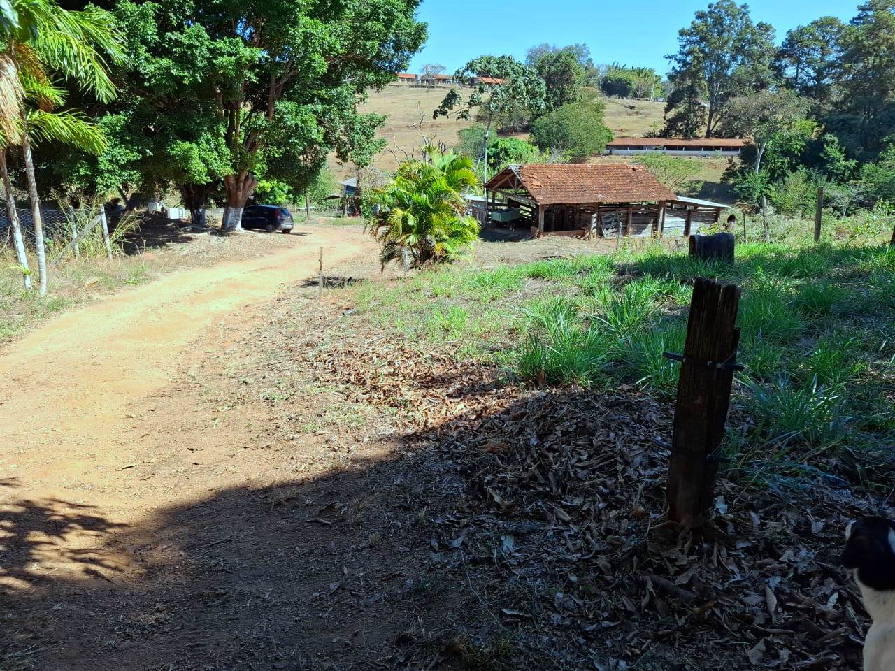 Imagem Fazenda à Venda, 36.200 m² em Centro - Caconde