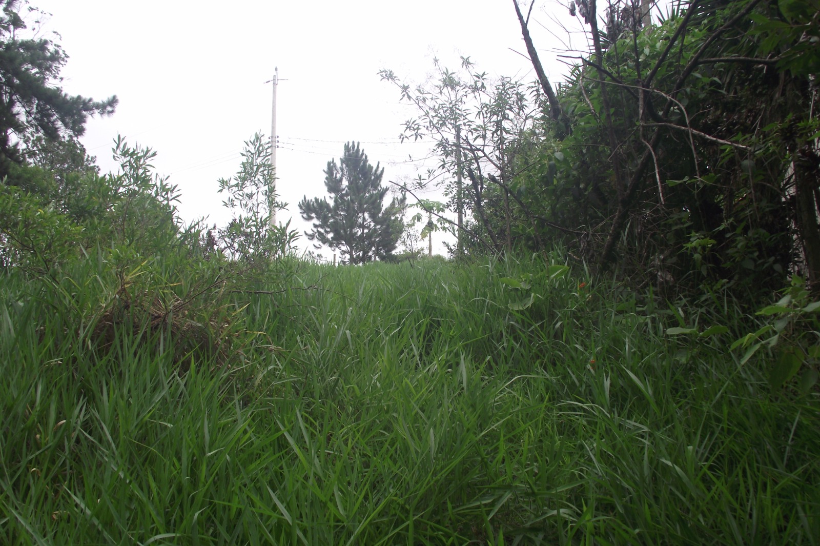 Imagem Terreno à Venda, 24.452 m² em Apotribu de Cima - Itu