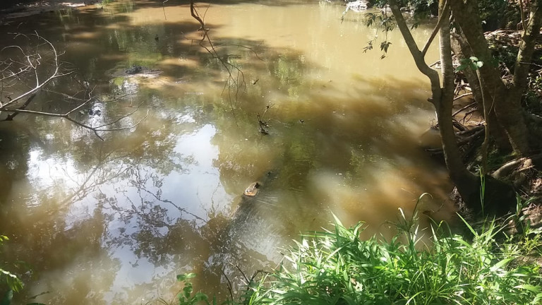 Imagem Fazenda à Venda, 54 Alq GOem Setor Central - Faina Imagem Fazenda à Venda, 54 Alq GOem Setor Central - Faina