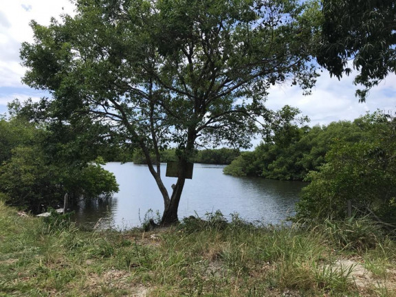 Imagem Terreno à Venda, 160.000 m² em Praia de Tamandaré - Tamandaré